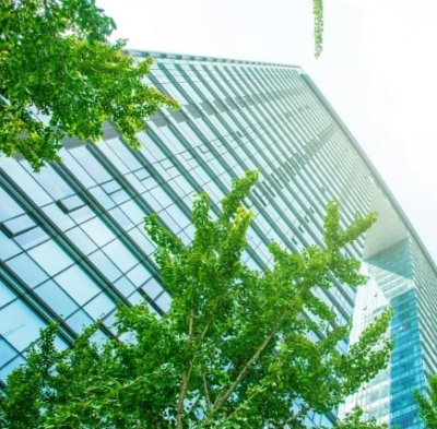 Estrategias Sostenibles, Asesorias Ambientales, Economia Circular