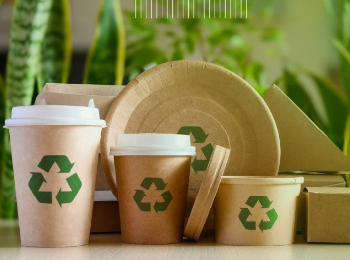 Estrategias Sostenibles, Asesorias Ambientales, Economia Circular